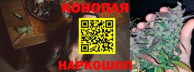 спиды Будённовск