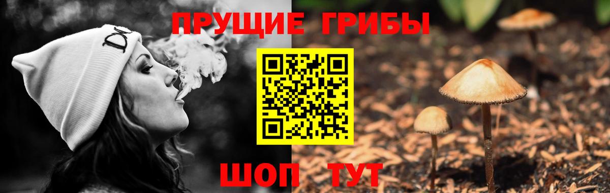 Галлюциногенные грибы ЛСД  Псилоцибиновые грибы Psilocybine cubensis  Саки  Вход с VPN 